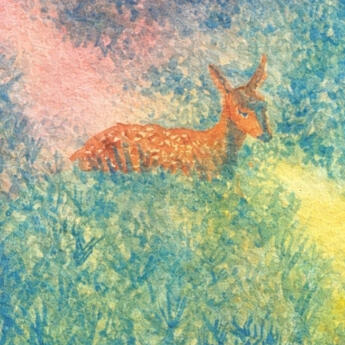 Deer Walks, Watercolor